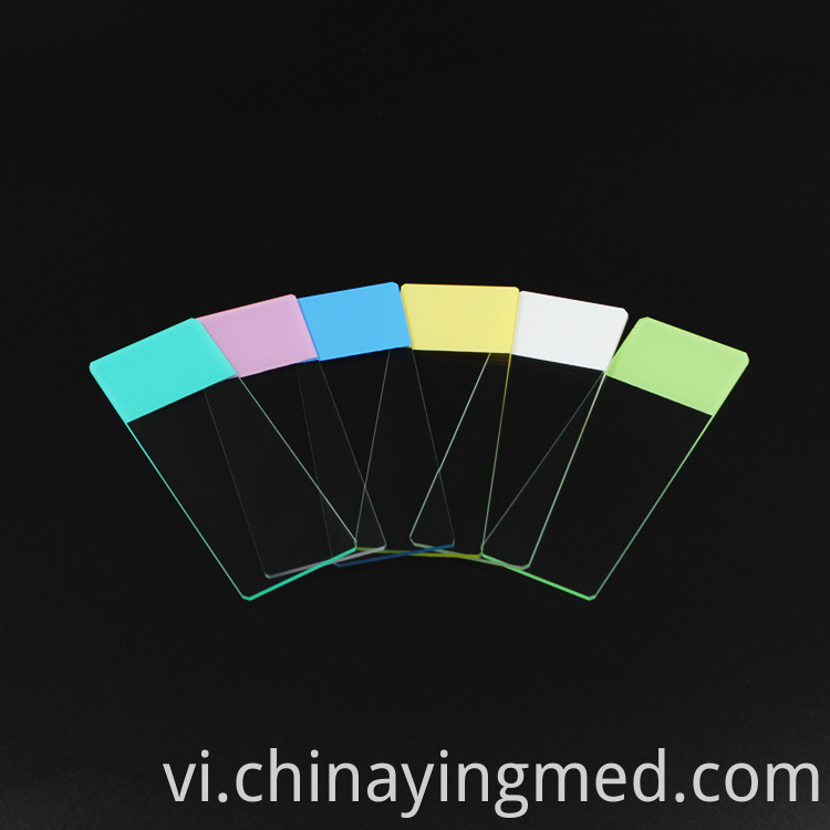 Color Microscope Slide